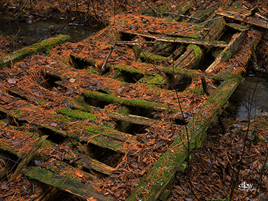 Decrepit Wooden Footbridge