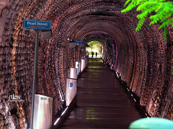 Brockville Railway Tunnel Telephoto Compression