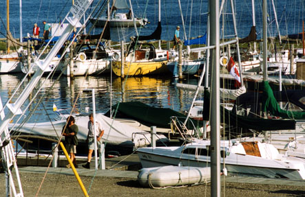 Full Harbour © 2003 ctLow