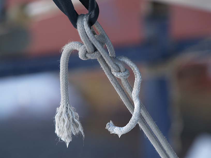 Winter Tarp-knot detail © 2009 ctLow
