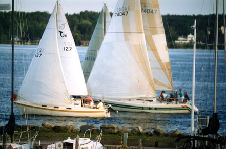 Sailing Races © 2003 ctLow